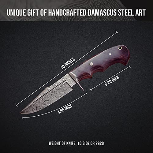 BIGCAT ROAR Handmade Damascus Hunting Knife 